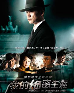 我的绝密生涯